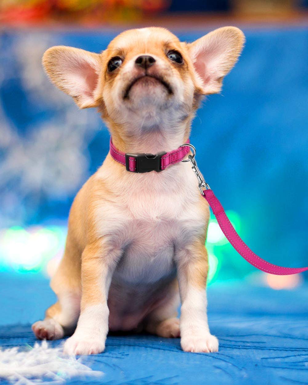Reflective Adjustable Pink Dog Collar W780