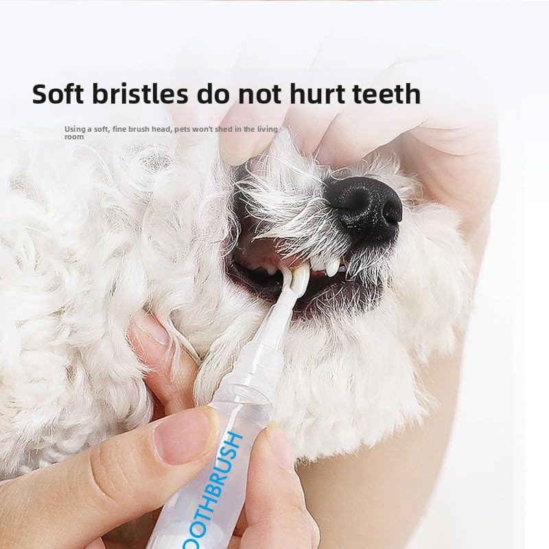 Pet Teeth Cleaning Pen 2-Pack with Soft Brush Head Y104