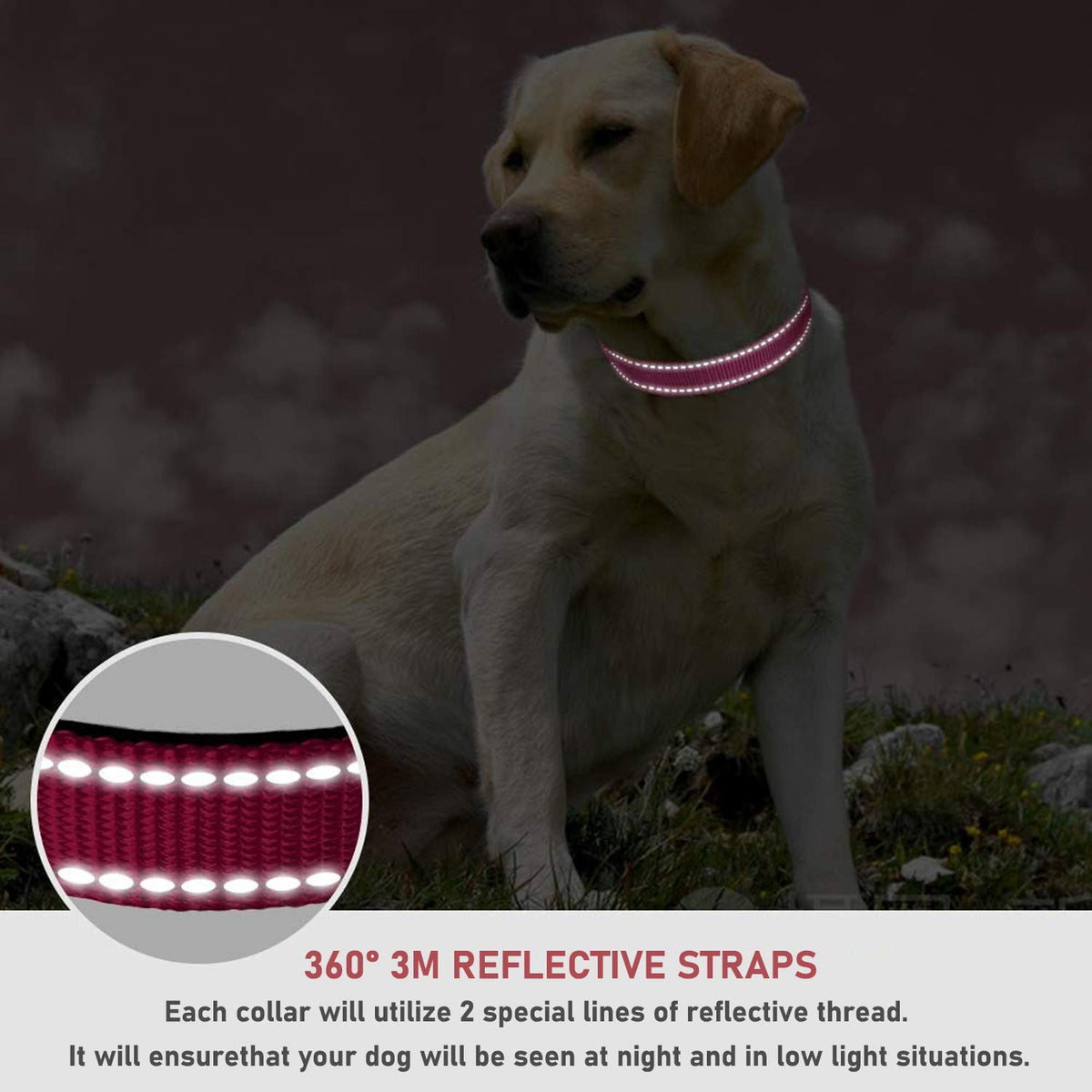 Reflective Adjustable Pink Dog Collar W780