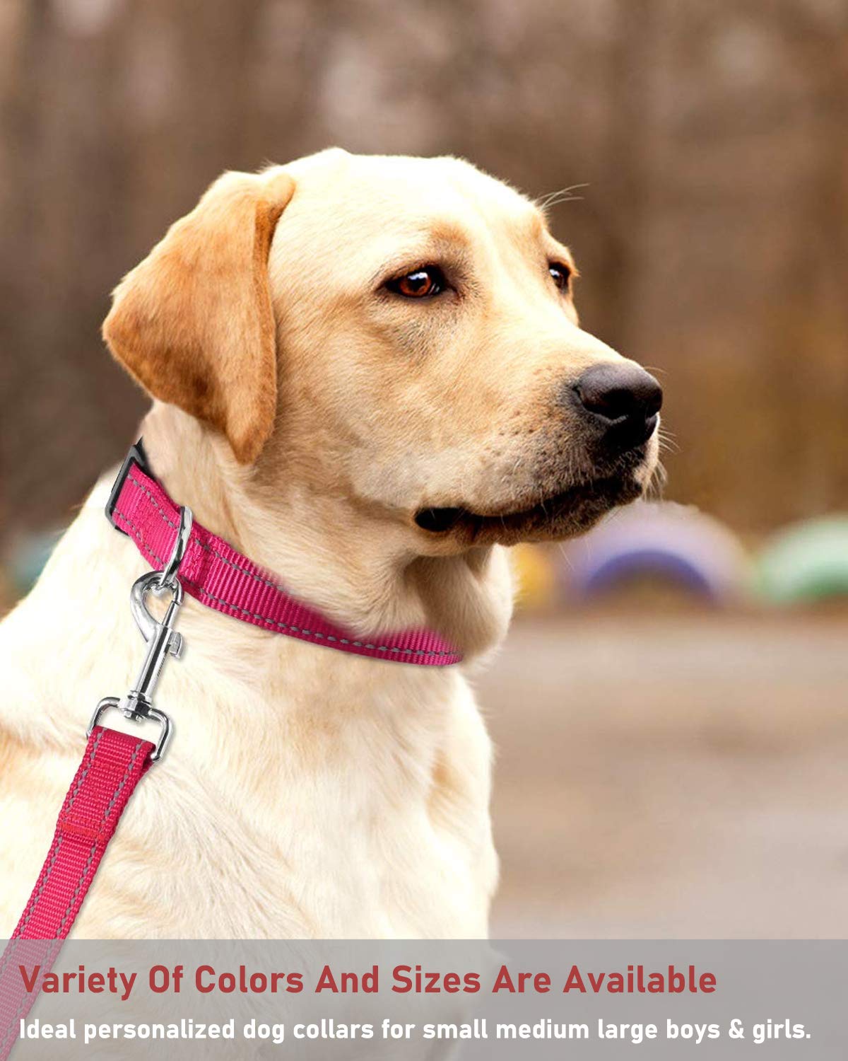 Reflective Adjustable Pink Dog Collar W780