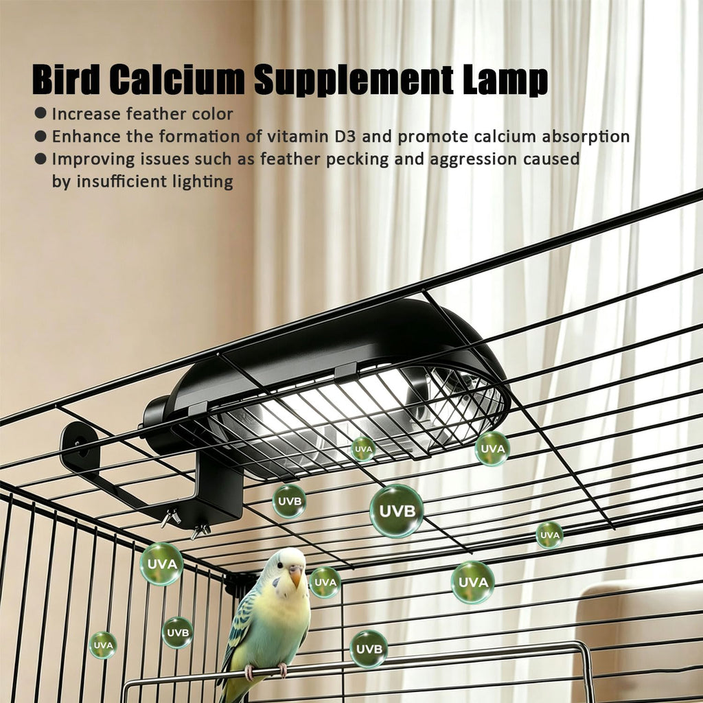 Bird Cage Light Fixture Combo Kit with Bulb H339