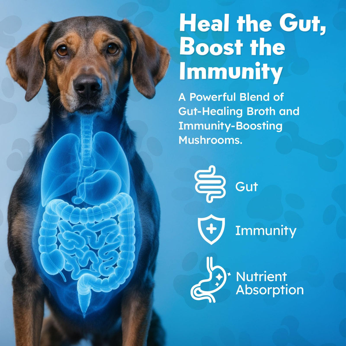 Beef Bone Broth Powder for Dogs J901