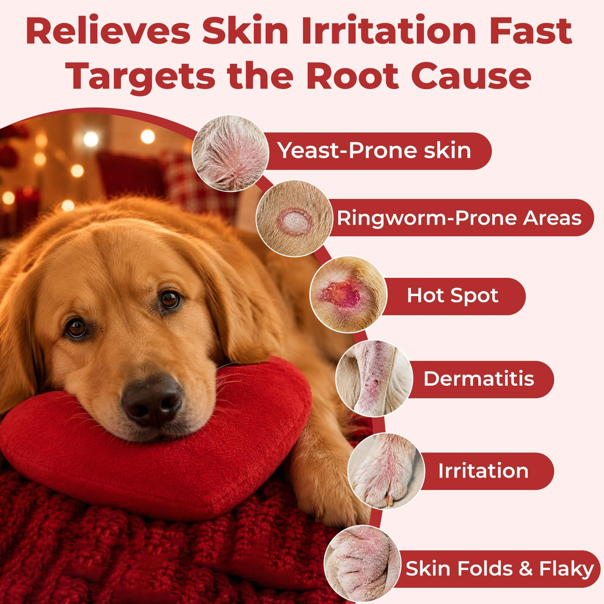 Dog Yeast Infection Treatment 4.23oz I193