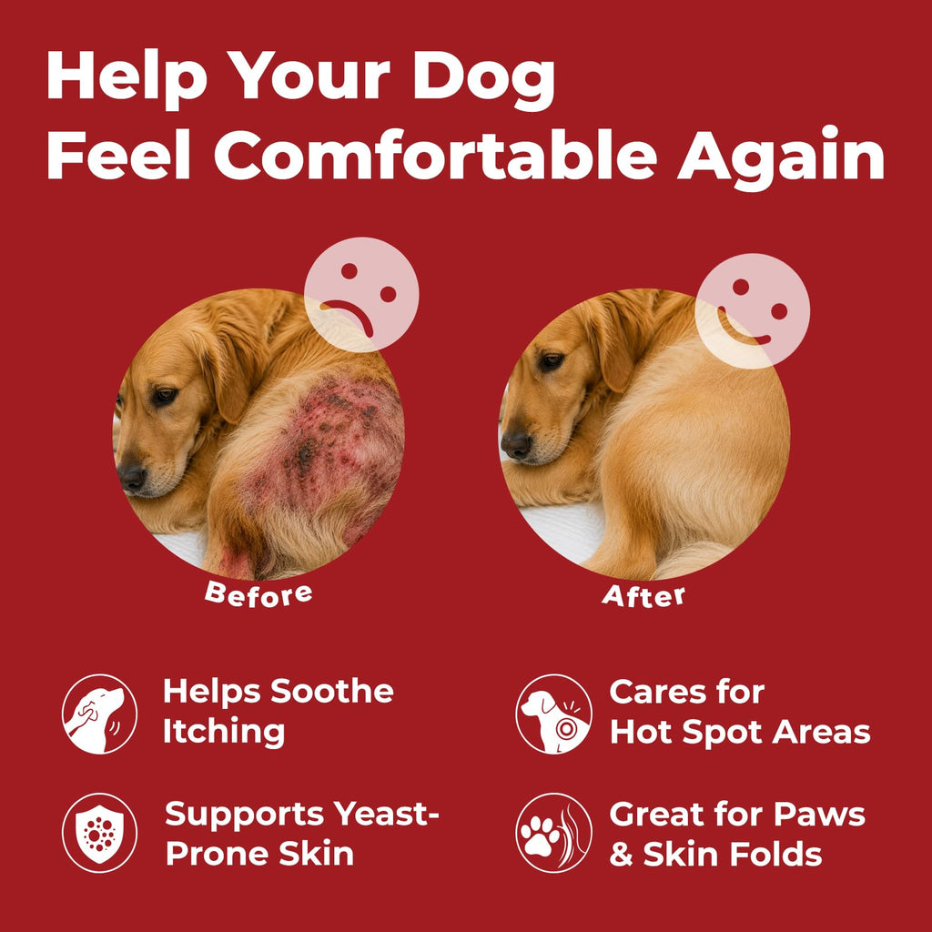 Dog Yeast Infection Treatment 4.23oz I193