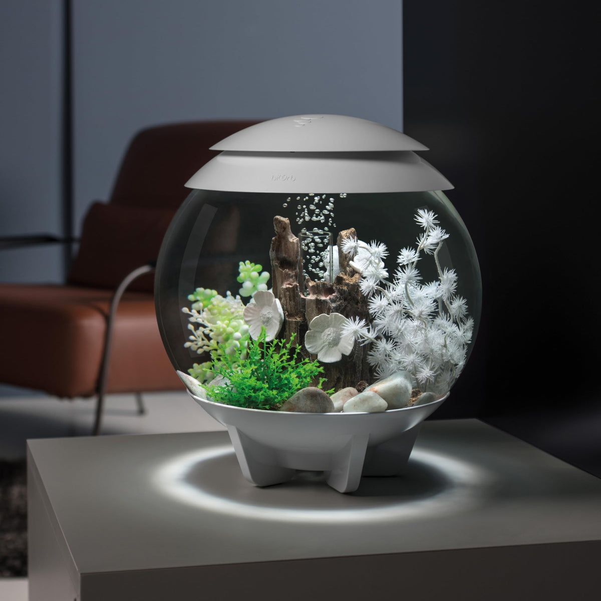15 Gallon White Aquarium with LED Lights X34028