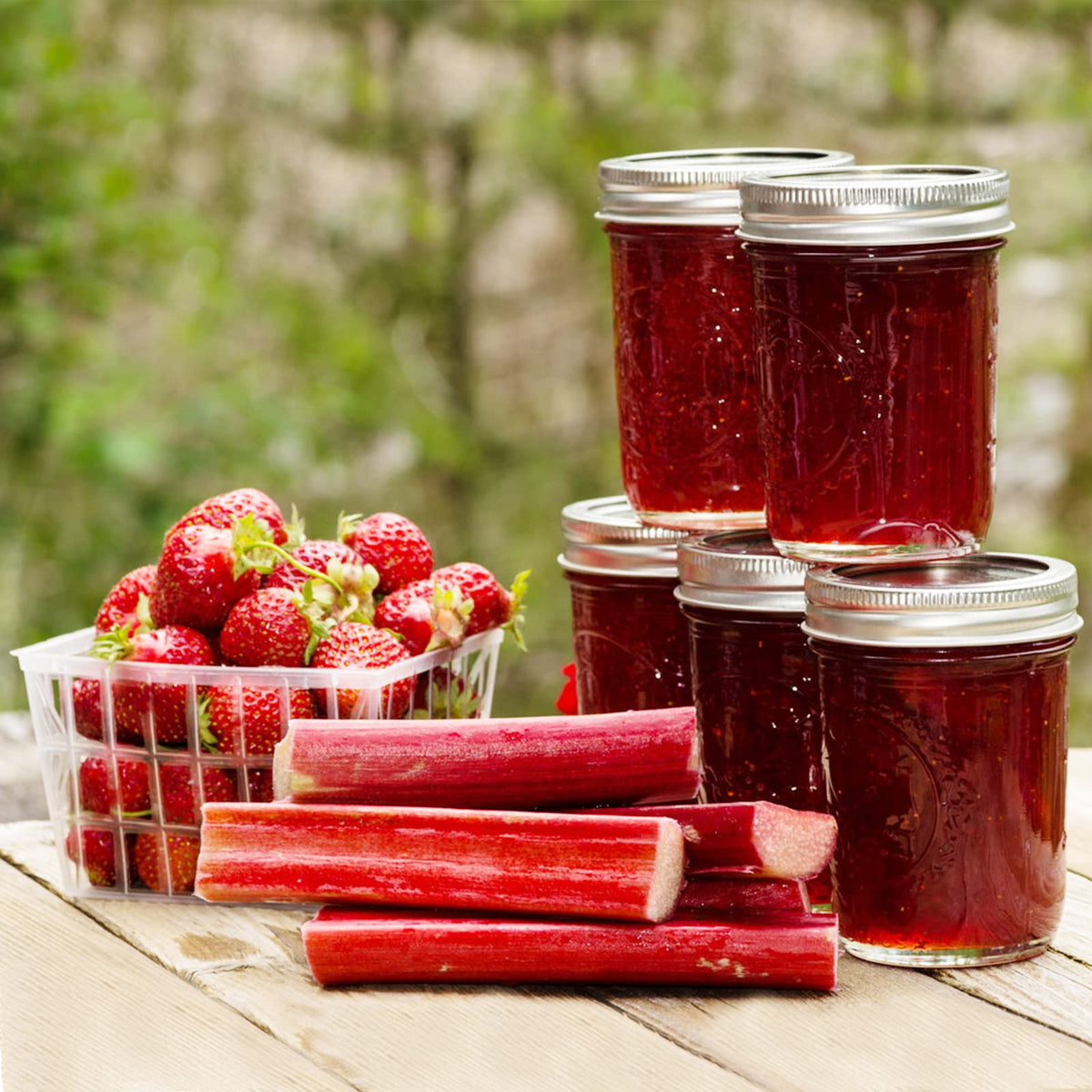 16 oz 6 Pack Wide Mouth Glass Mason Jars with Airtight Lids Y172439
