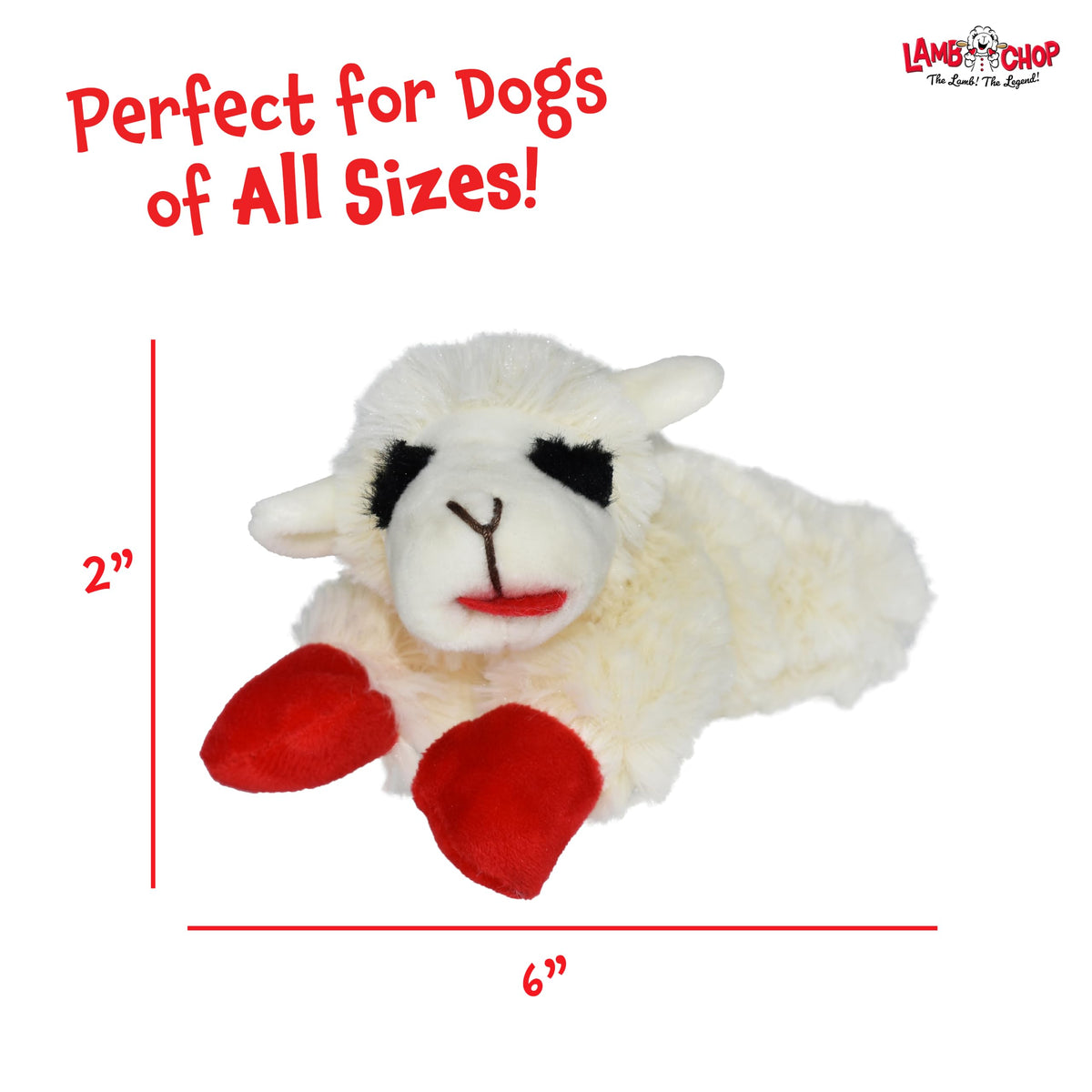 Dog Plush Squeaky Toy D7552