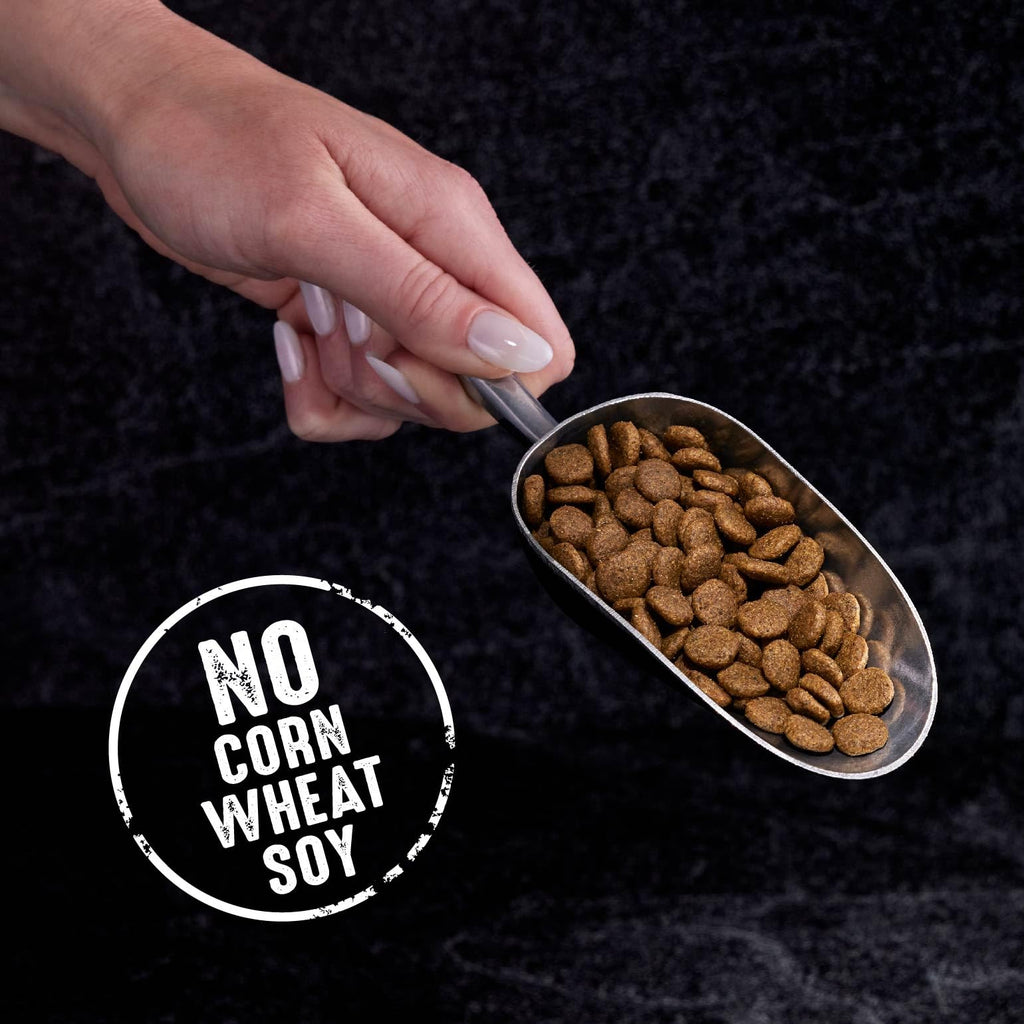 Grain Free High Protein Natural Dry Cat Food, Chicken, 4 lb H615