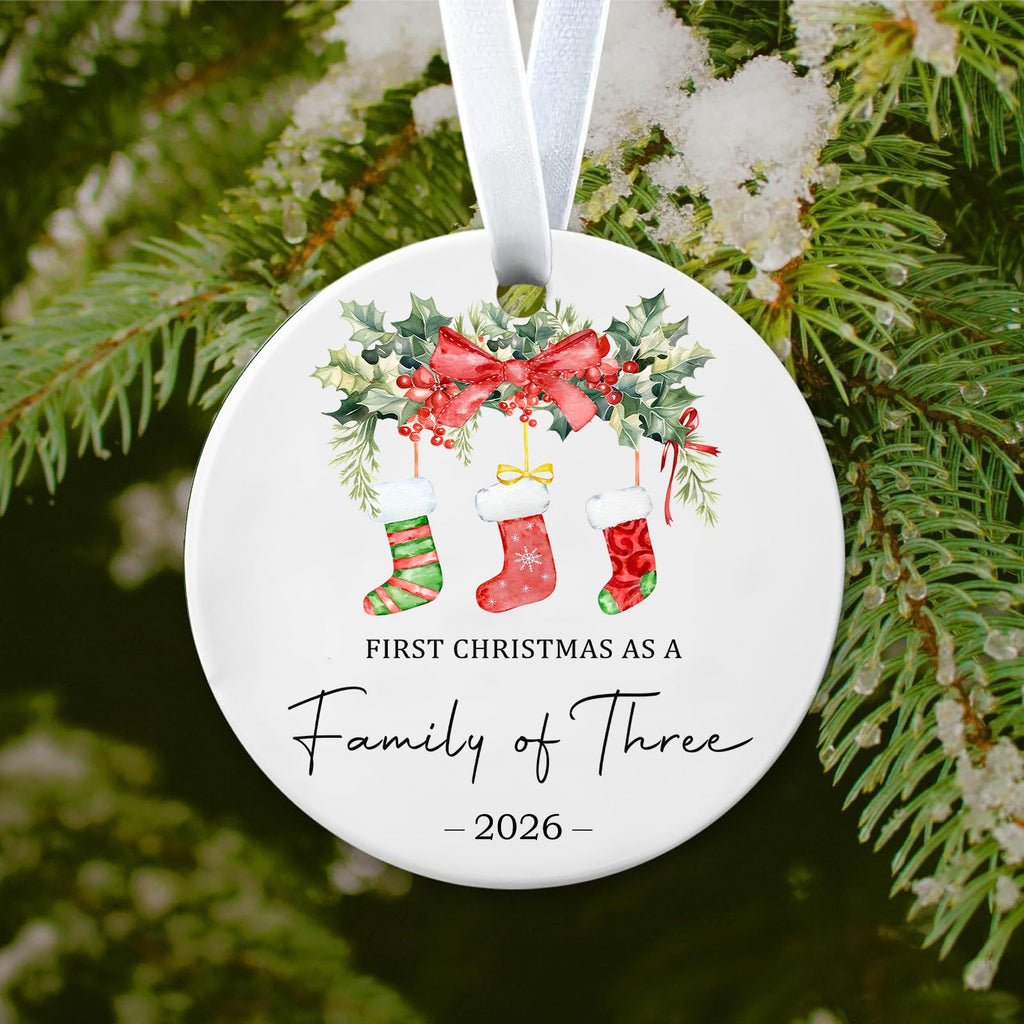 Baby First Christmas Ornaments 2026 V94619