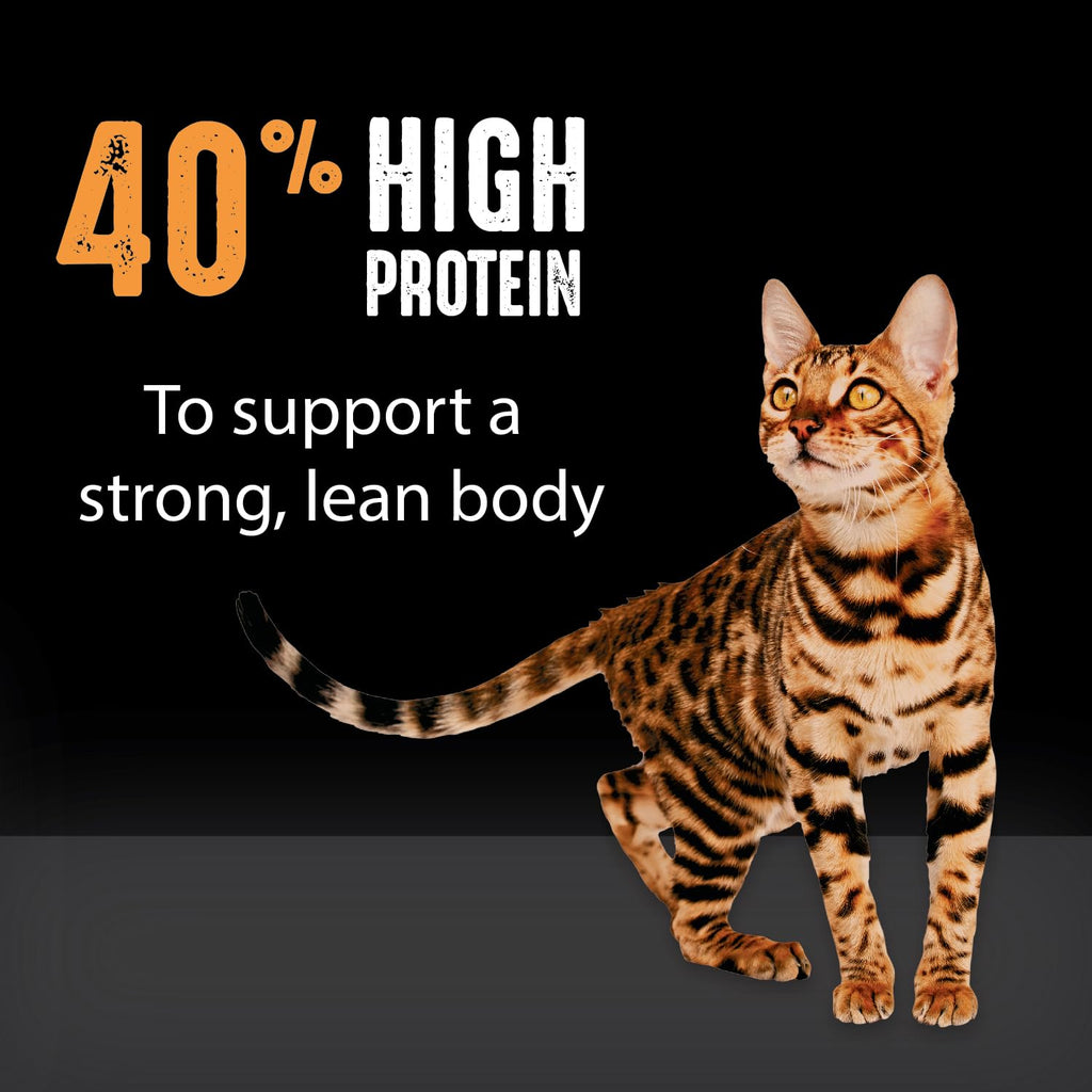 Grain Free High Protein Natural Dry Cat Food, Chicken, 4 lb H615