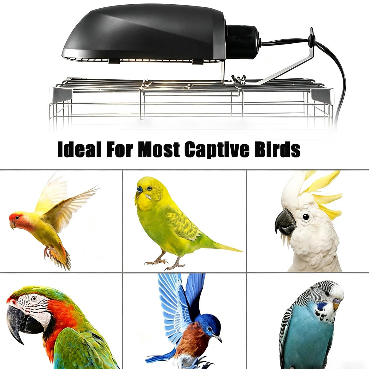 Bird Cage Light Fixture Combo Kit with Bulb H339