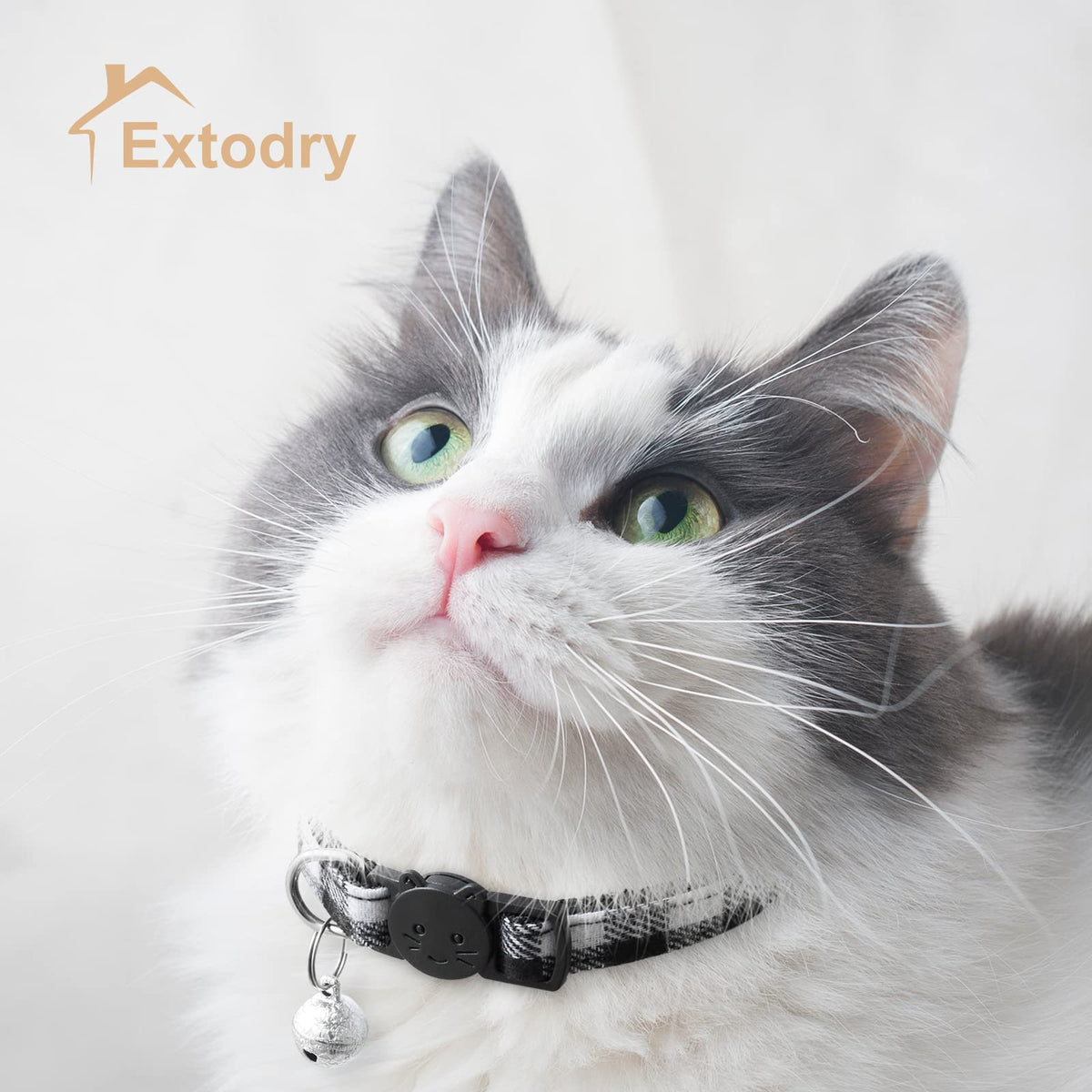 6 Pack Plaid Cat Collars with Bells J180041