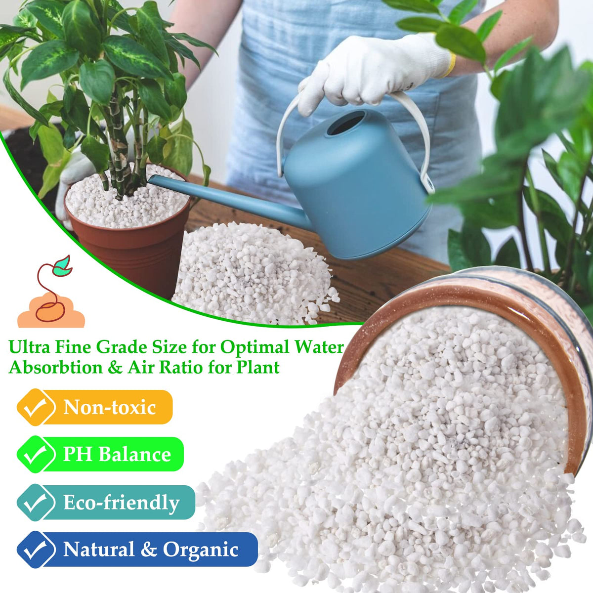 4 Quarts Organic Perlite for Plants Z641