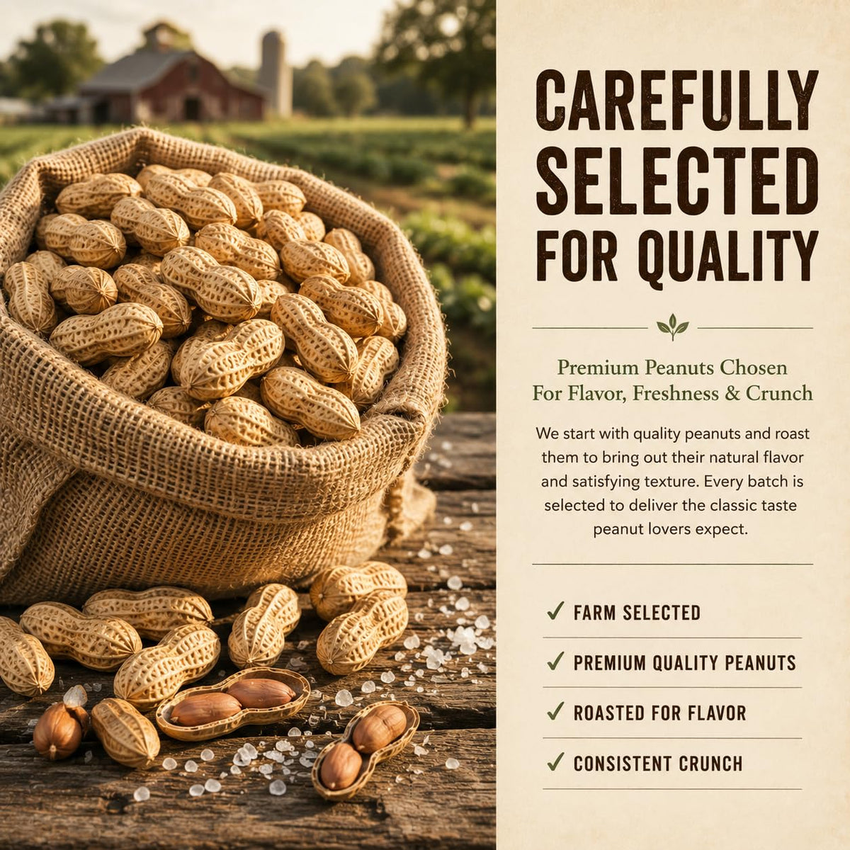 Roasted Salted Peanuts In Shell 4 LB J6223