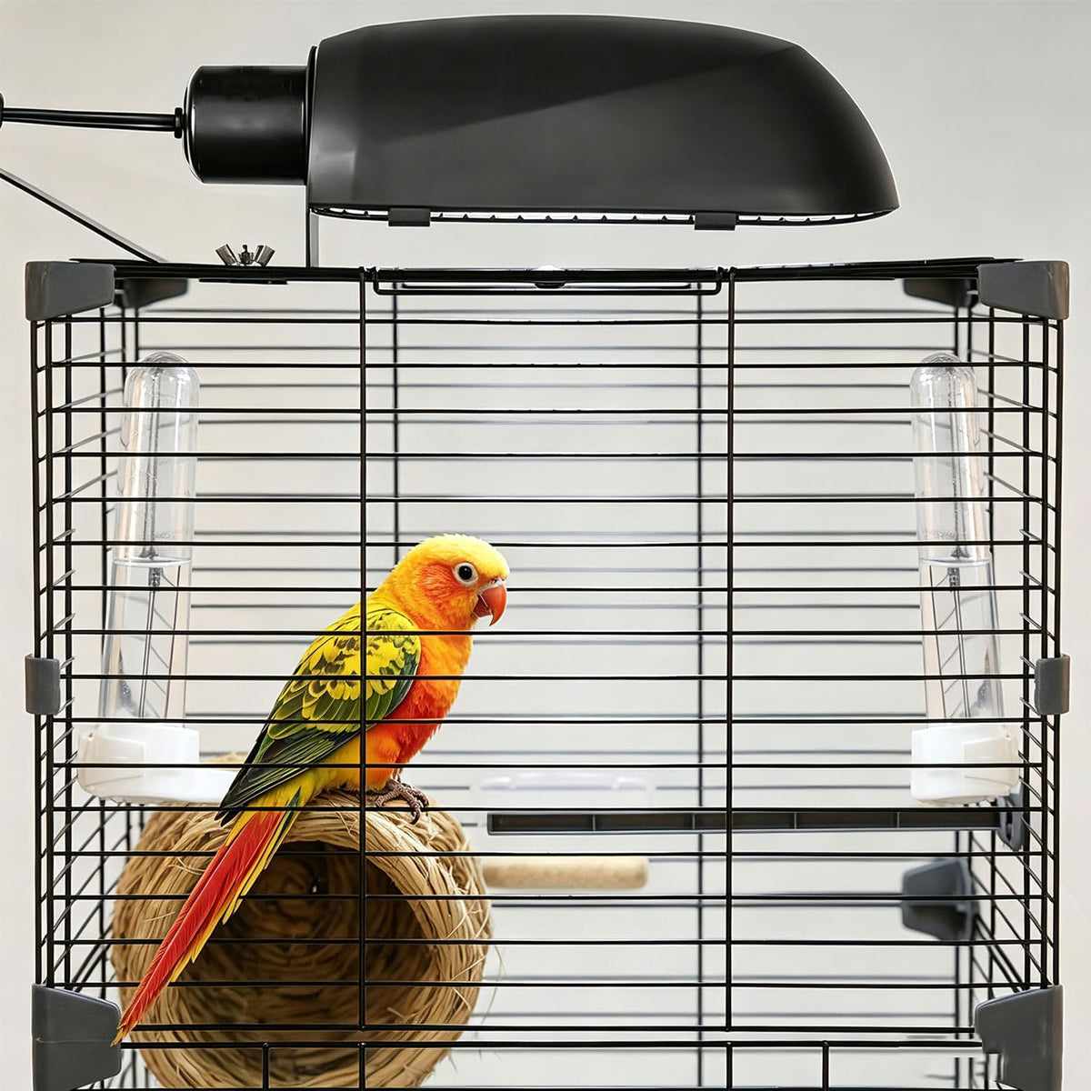 Bird Cage Light Fixture Combo Kit with Bulb H339