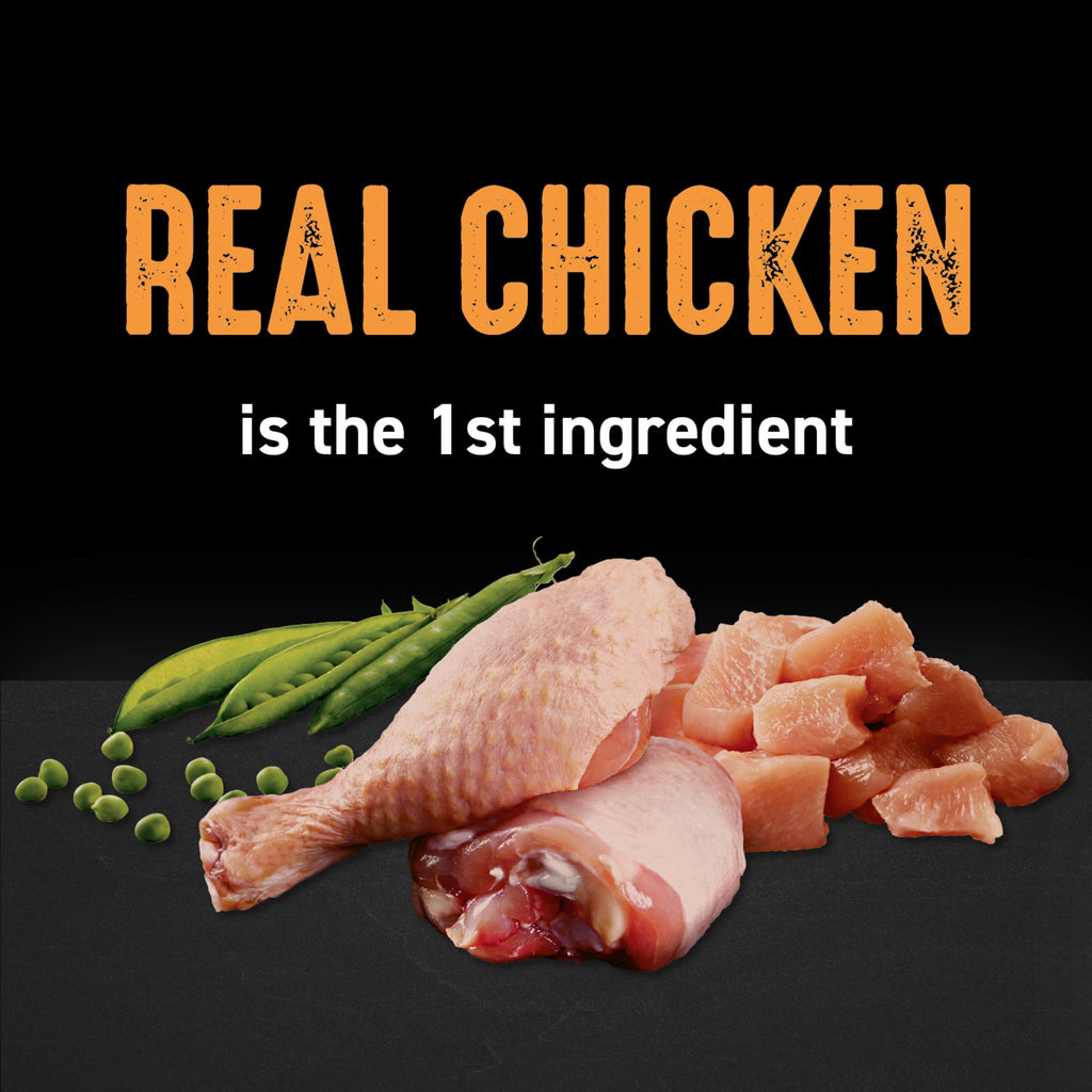 Grain Free High Protein Natural Dry Cat Food, Chicken, 4 lb H615