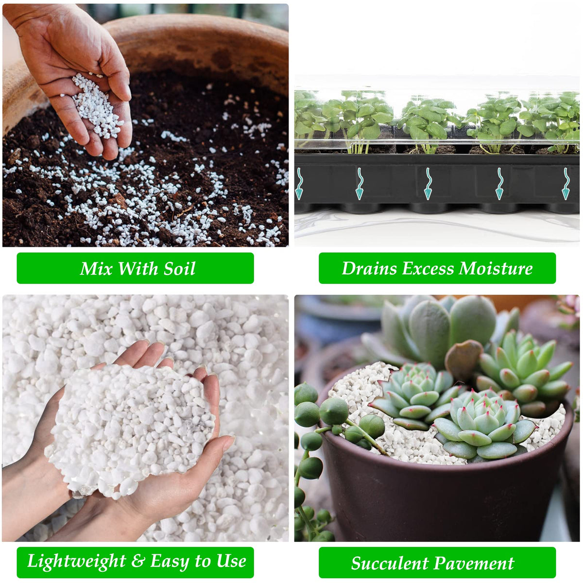 4 Quarts Organic Perlite for Plants Z641