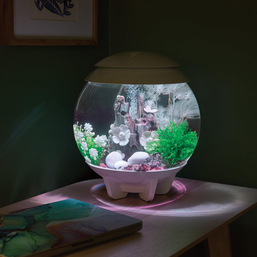 15 Gallon White Aquarium with LED Lights X34028