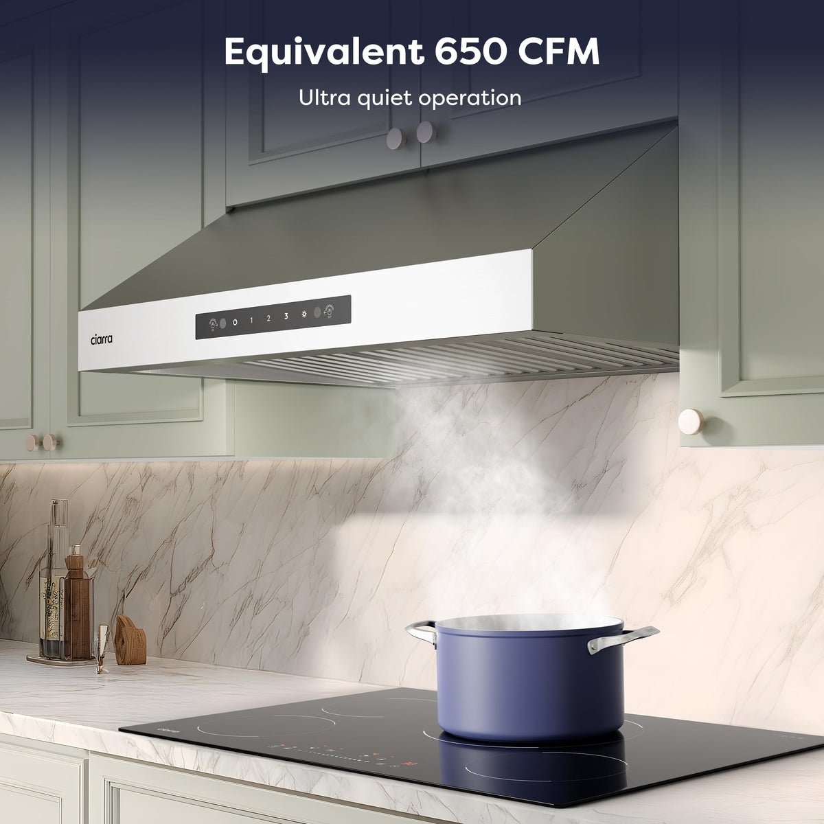 30 Inch Stainless Steel Under Cabinet Range Hood O2920