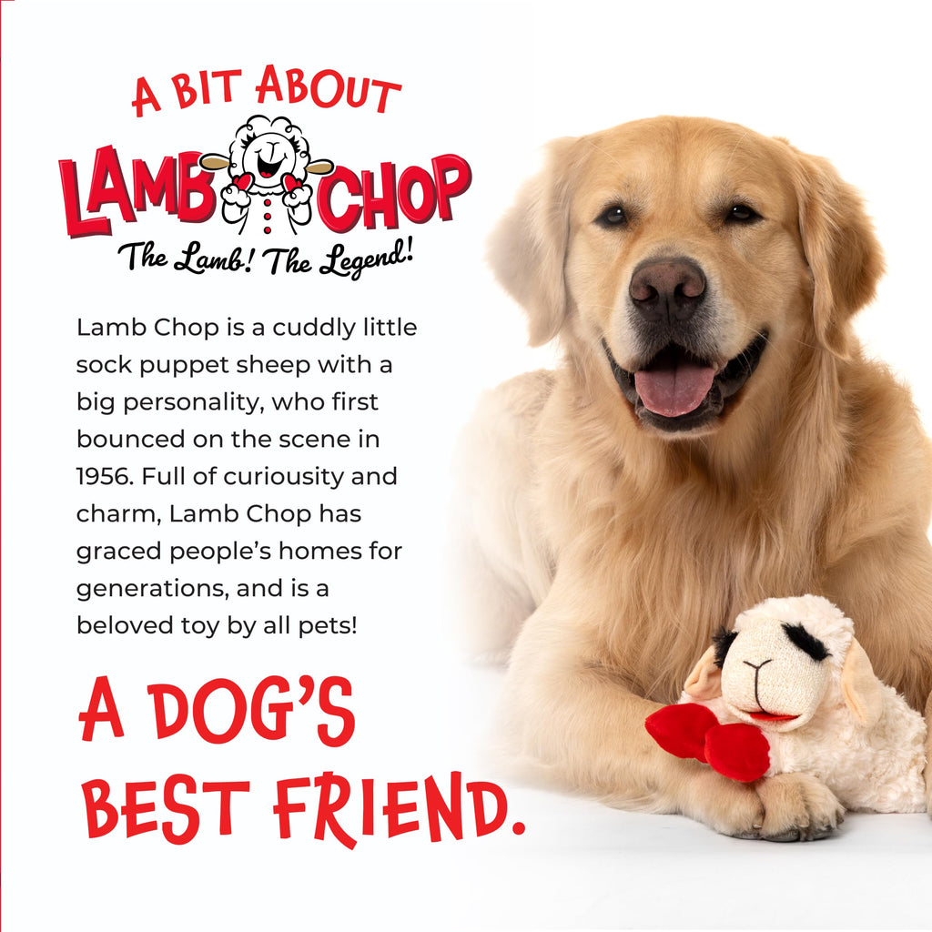 Dog Plush Squeaky Toy D7552