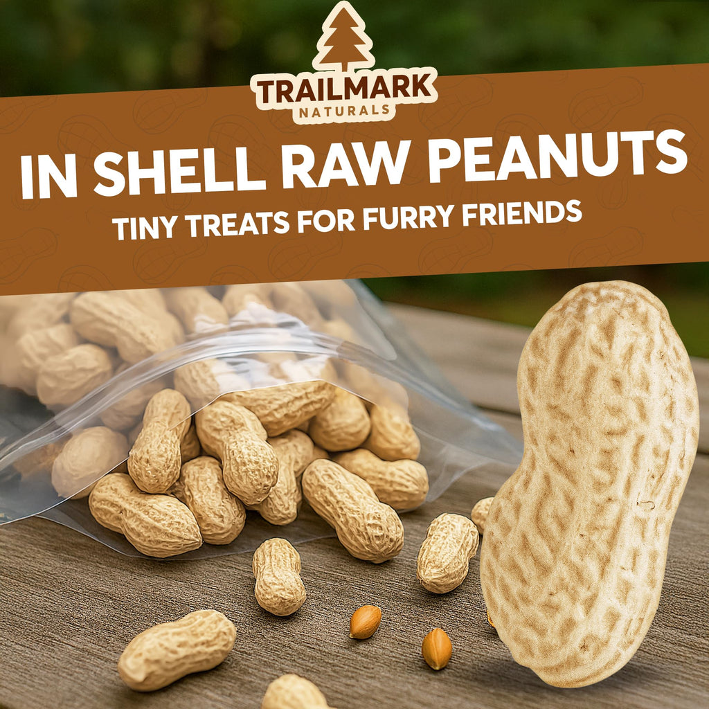 25 LB Raw in Shell Peanuts S72622