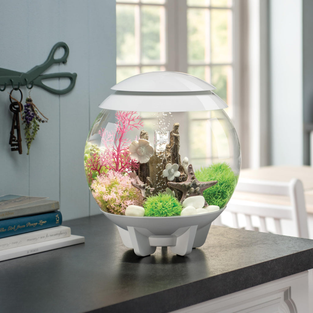 15 Gallon White Aquarium with LED Lights X34028