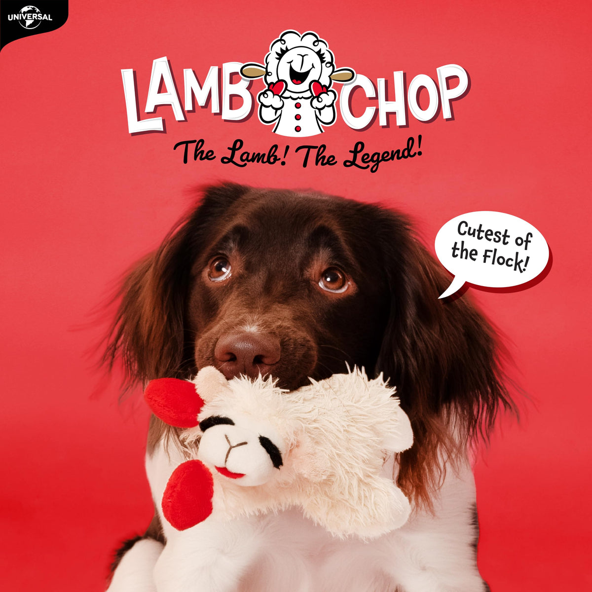 Dog Plush Squeaky Toy D7552