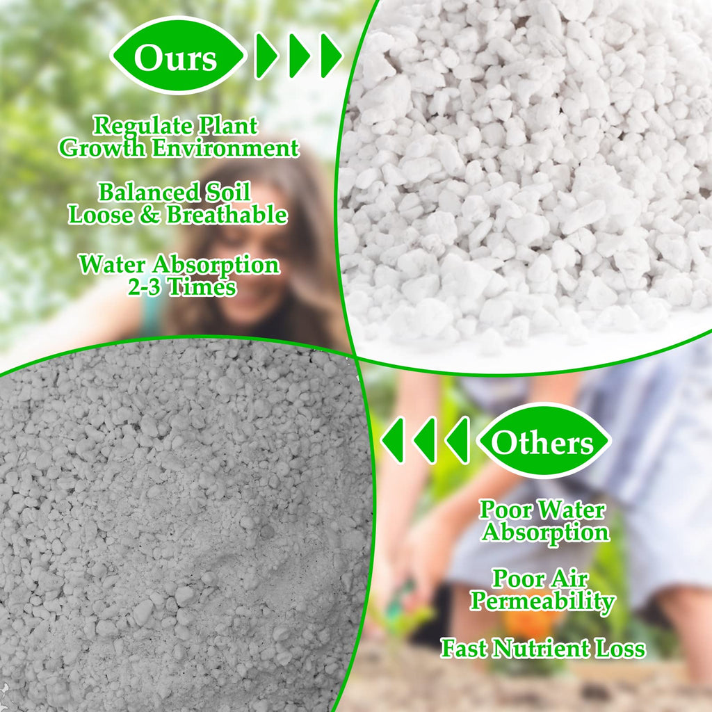 4 Quarts Organic Perlite for Plants Z641