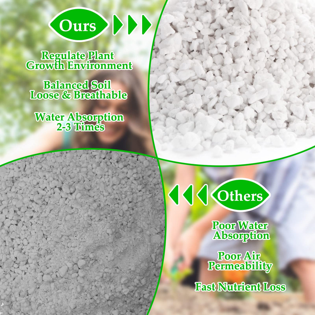 4 Quarts Organic Perlite for Plants Z641