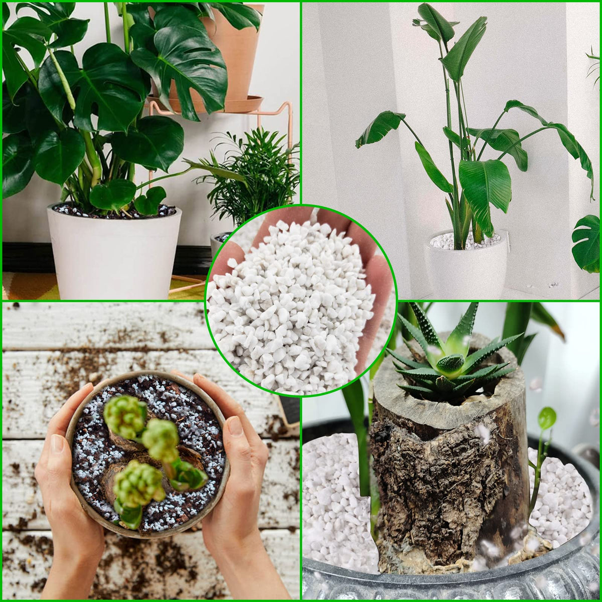 4 Quarts Organic Perlite for Plants Z641
