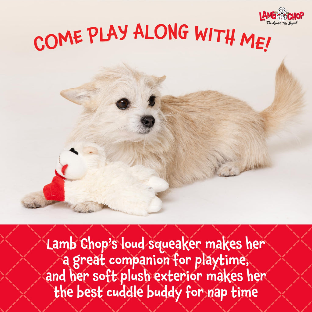 Dog Plush Squeaky Toy D7552