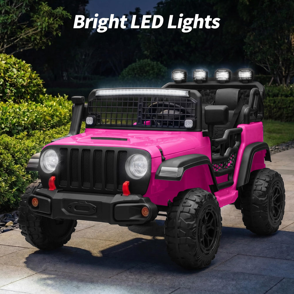 2 Seater 24V Electric Ride on Car with Remote R9977