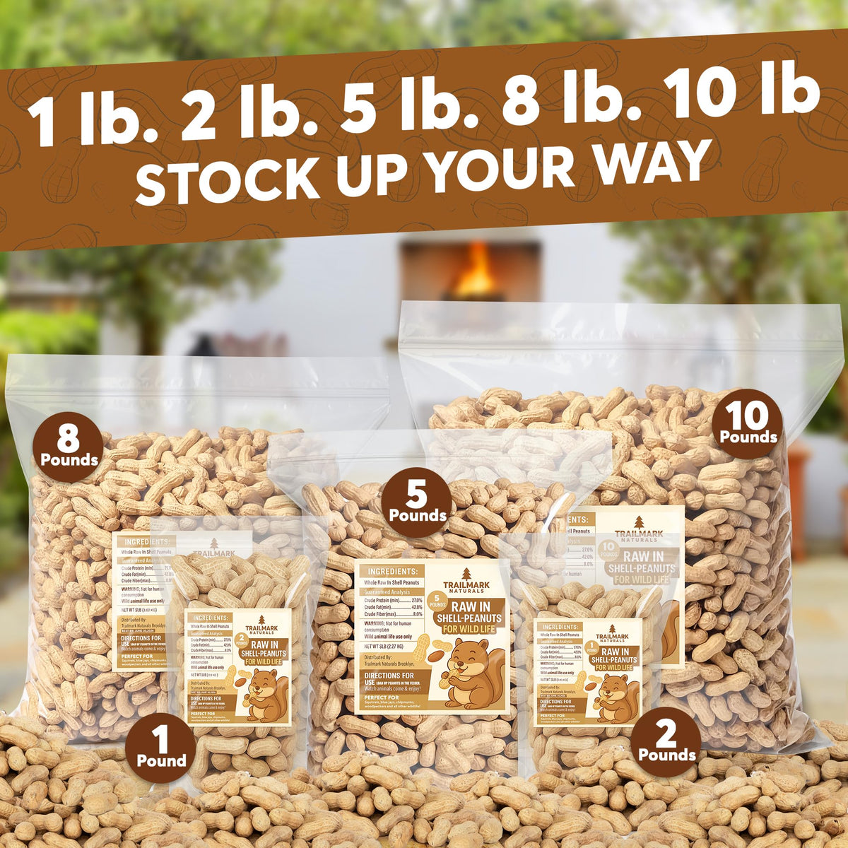 25 LB Raw in Shell Peanuts S72622