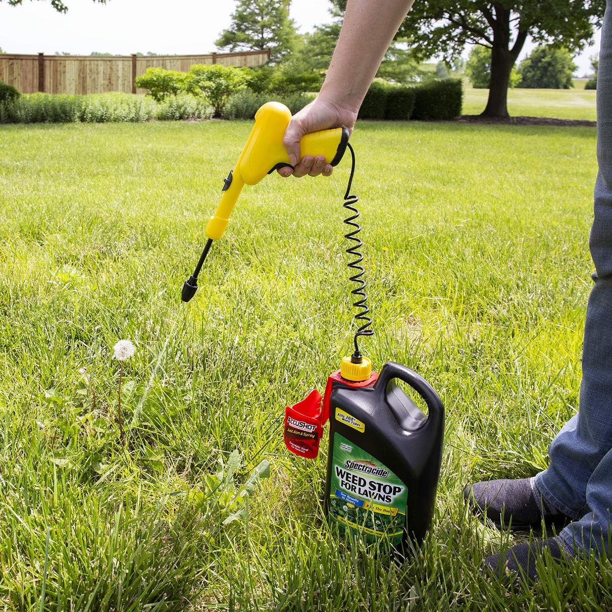 Weed Stop For Lawns Sprayer Q7641